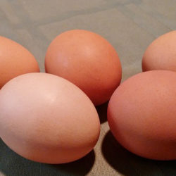 Mitos sobre el huevo (I)