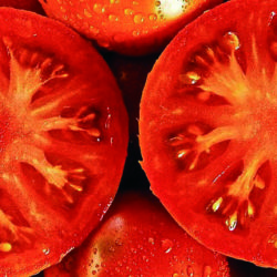 Tópicos sobre el tomate