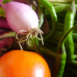 Comer vegetales es sano: cómo reducir la pérdida de nutrientes cuando toca cocinarlos