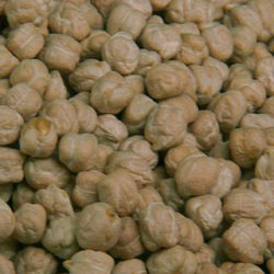 El garbanzo de Fuentesaúco