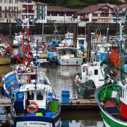 Barcos vascos y cántabros logran un sello sostenible por la pesca de sardina