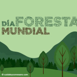 Día Forestal Mundial: “Los bosques y la energía”