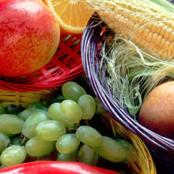 ¿Cuáles son las tendencias en alimentación?