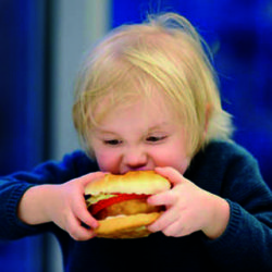 Un plan para equilibrar el consumo de azúcar, sal y grasa