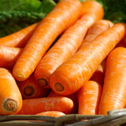 La zanahoria, importante en nuestra dieta