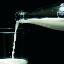 La leche, fuente de proteínas y vitaminas