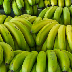 ¿Cuáles son las diferencias entre el plátano y la banana?