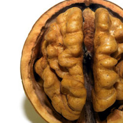 Neurogastronomía: así se activan los sentidos al comer