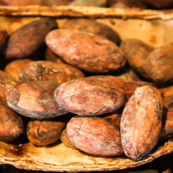 El cacao, sabroso y energético