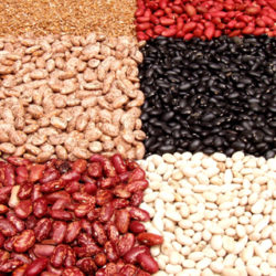 Declaración sobre la importancia nutricional de las legumbres