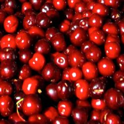 Cerezas del Valle de las Caderechas
