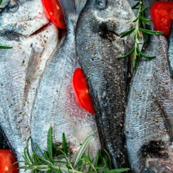 La dorada, un pescado blanco sabroso con proteínas de alta calidad
