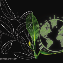 Por tu salud, por la salud del planeta