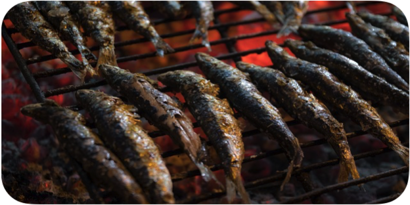 sardinas nutricionalmente convenientes