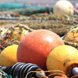 Diez años del sello azul de pesca sostenible de Marine Stewardship Council en España